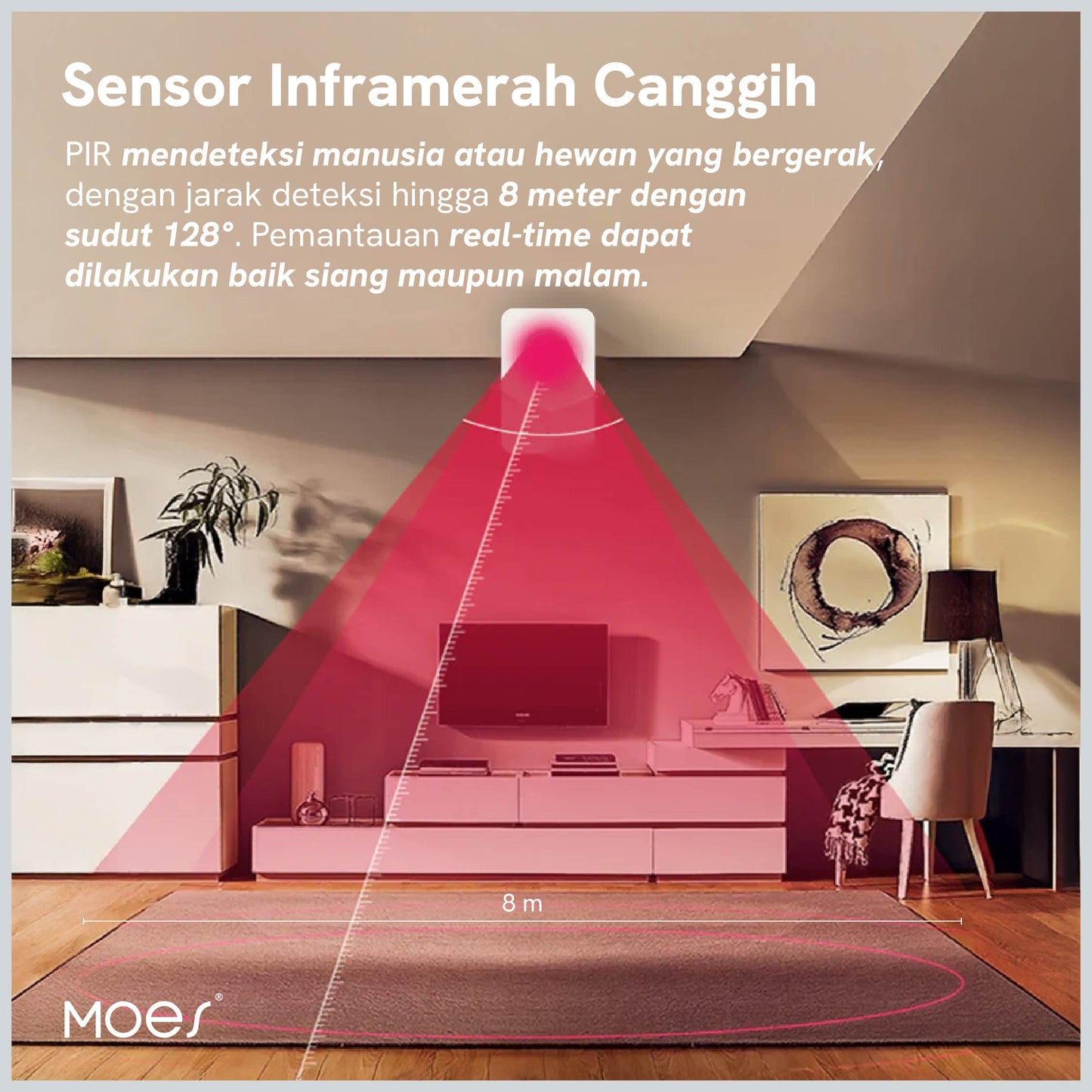 PIR Motion Sensor