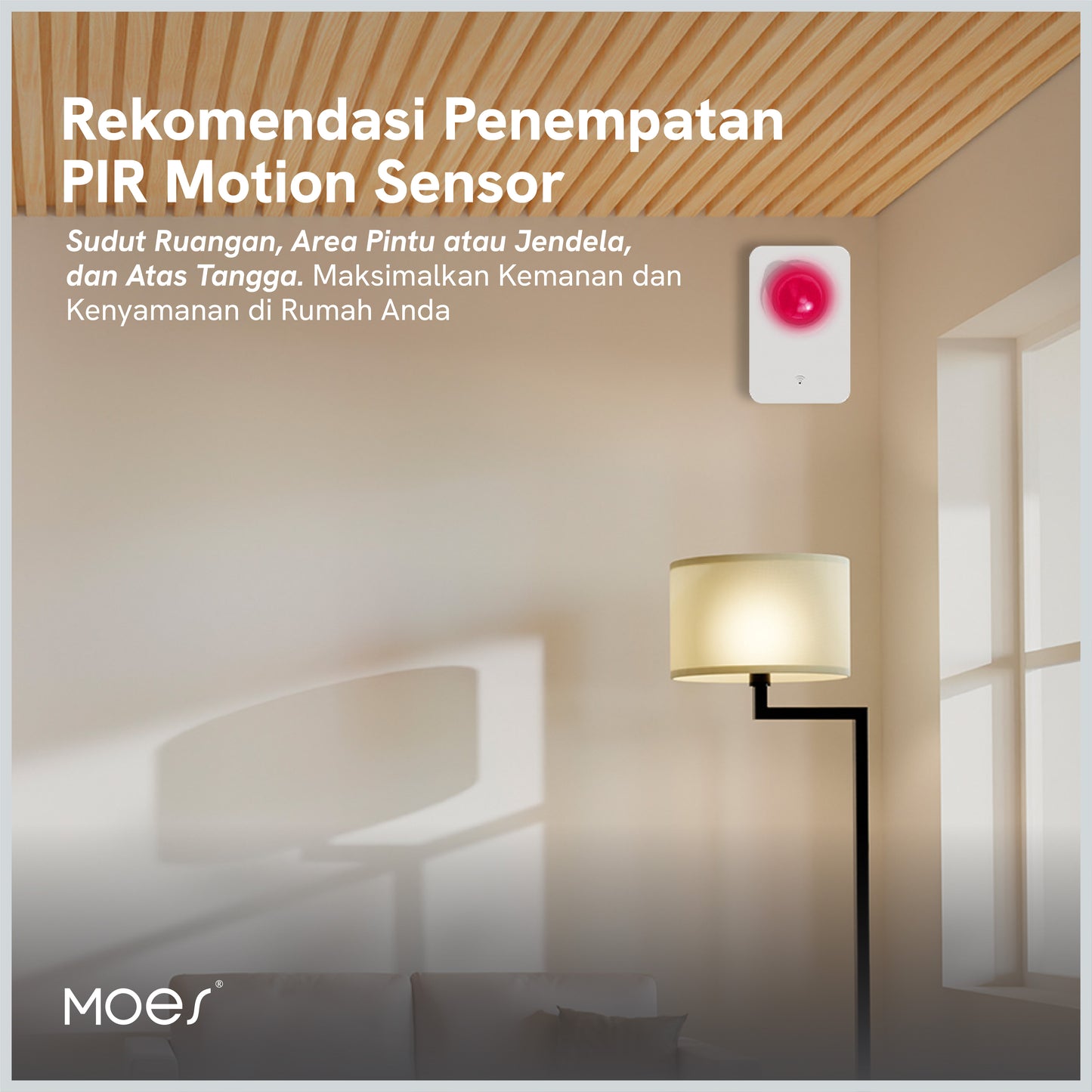 PIR Motion Sensor
