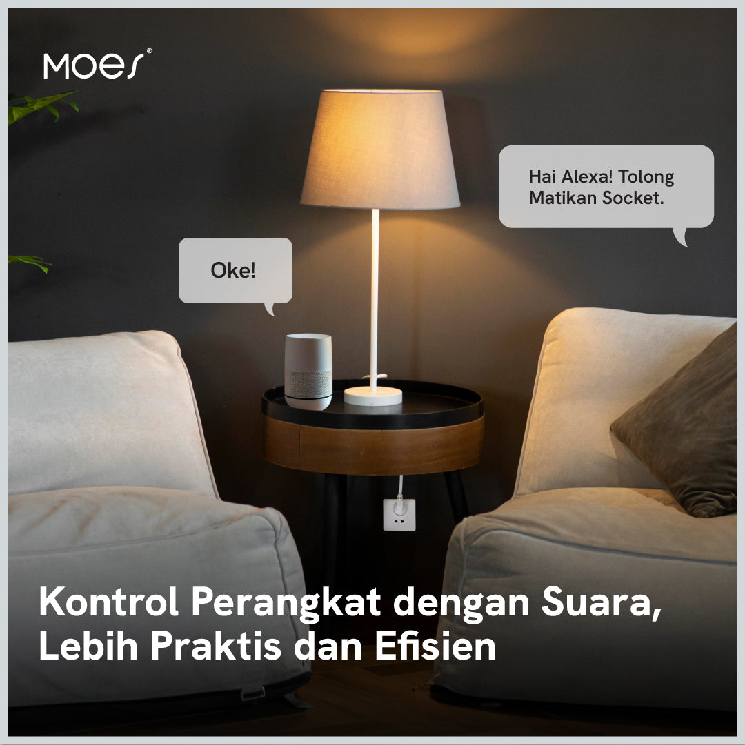 Wifi EU Socket