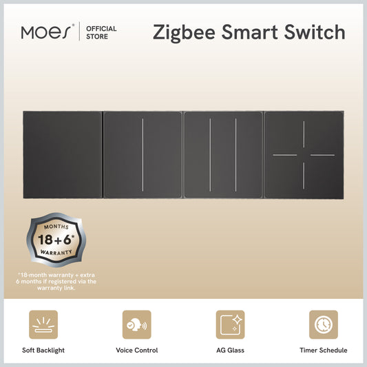 Smart Switch Star Feather Series  2 Gang